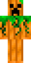Pumpkin Creeper skin
