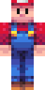 Mario Jr Minecraft skin
