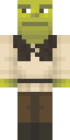Confused Shrek Minecraft skin