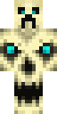 Skull Creeper Minecraft skin
