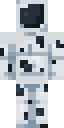 The Spot Minecraft skin