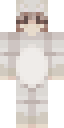 Arctic Fox Onesie Minecraft skin
